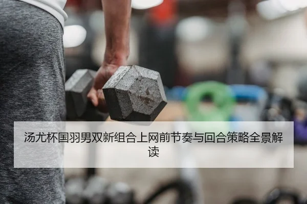 tang-you-bei-guo-yu-nan-shuang-xin-zu-he-shang-wang-qian-jie-zou-yu-hui-he-ce-lve-quan-jing-jie-du-2-258.jpg